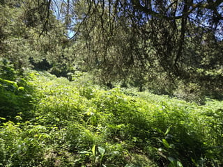Terreno en Venta en Mirage km18 Carretera a El Salvador - Image 17