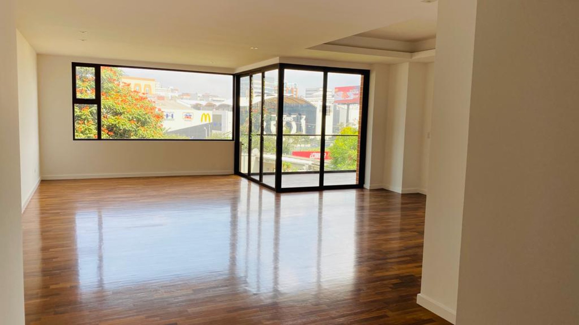 Apartamentos en Renta zona 10 / Lucca