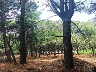 Terreno en VENTA en  Casa y Campo - 5