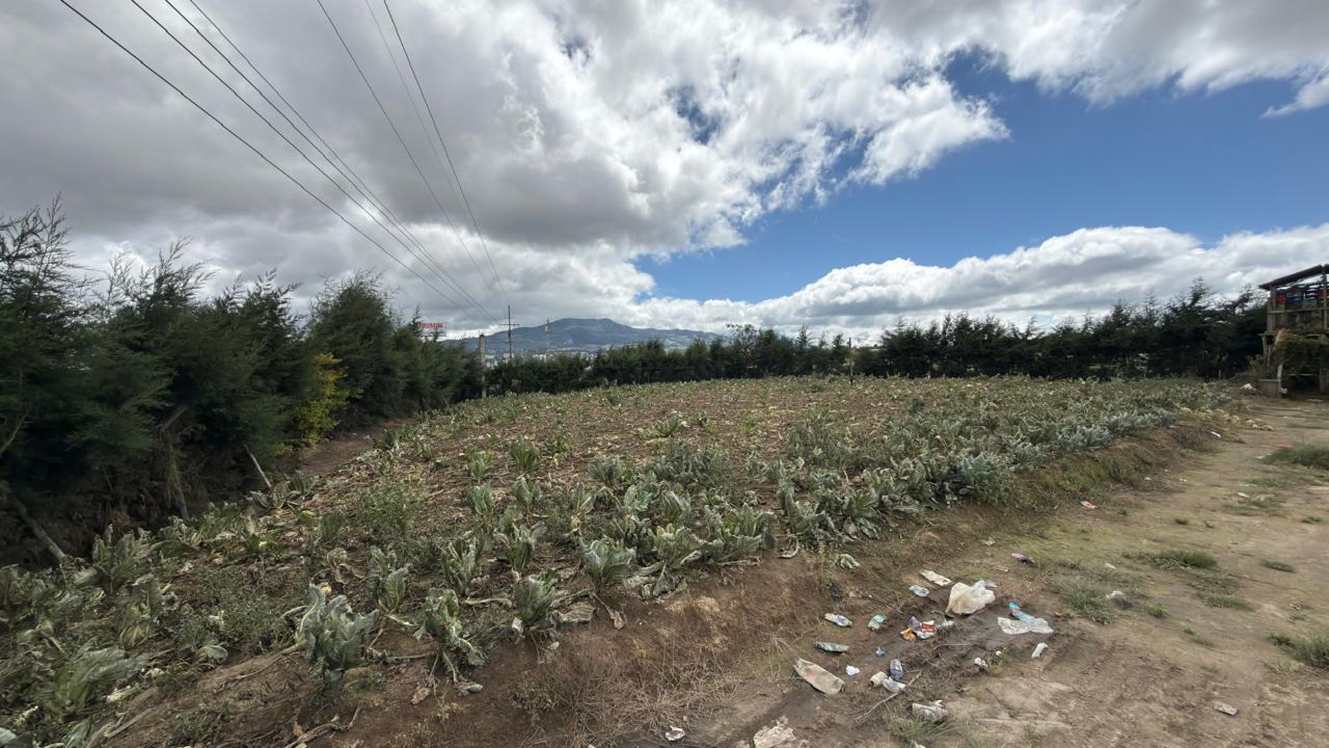 Terreno en renta en Km 72 Ruta Interamericana Patzicia, Chimaltenango - Miniatura 16