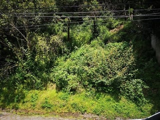 El Encinal/Terreno en venta - 3