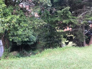 Terreno en Venta Bosques de las Luces - 2