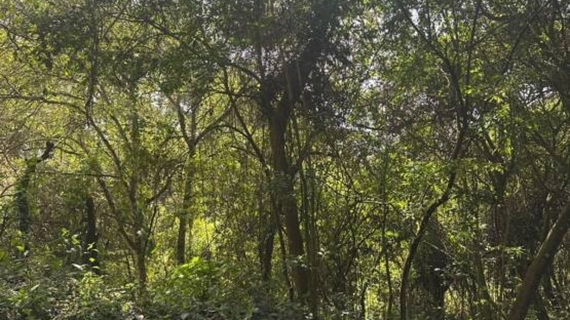Terreno en Venta, Mixco (V9991) - Miniatura 2