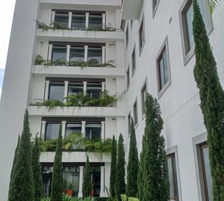 Alquilo hermoso apartamento en zona 16 Edificio  Magnolias