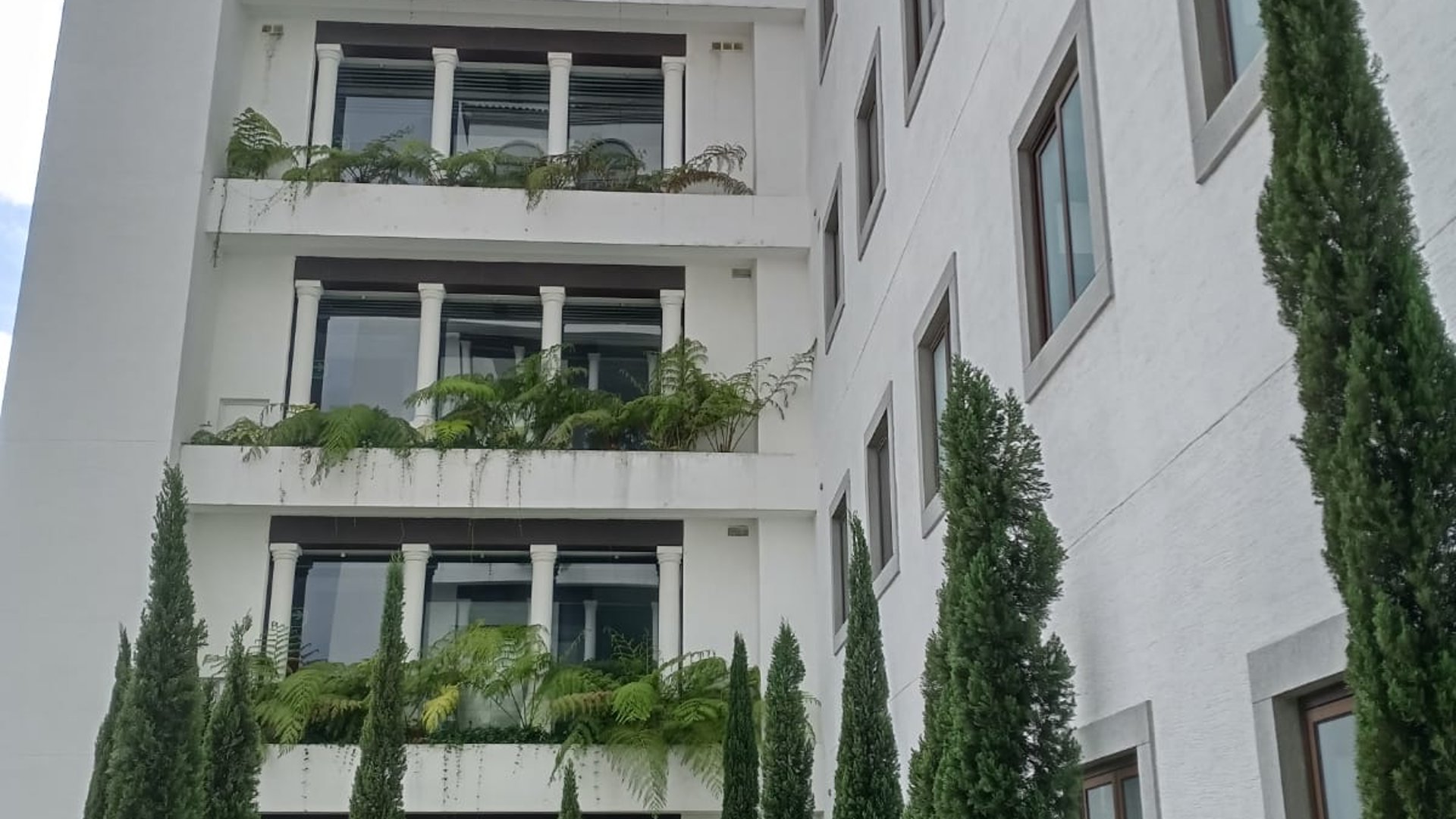 Alquilo hermoso apartamento en zona 16 Edificio  Magnolias