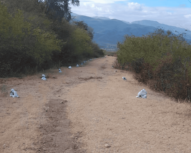 Terrenos en Venta en San Agustín Acasaguastlán, El Progreso