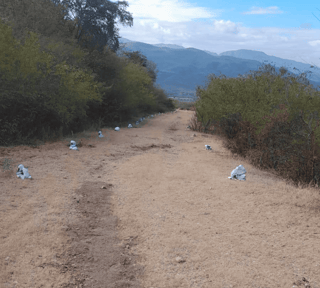 Terrenos en Venta en San Agustín Acasaguastlán, El Progreso