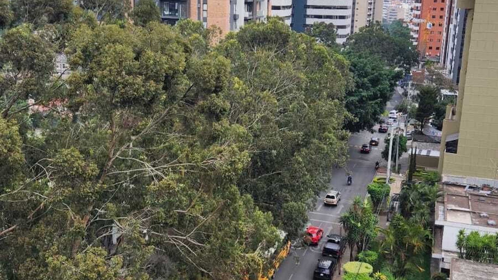 Apartamento en ALQUILER en Báltica zona 14 - Miniatura 26