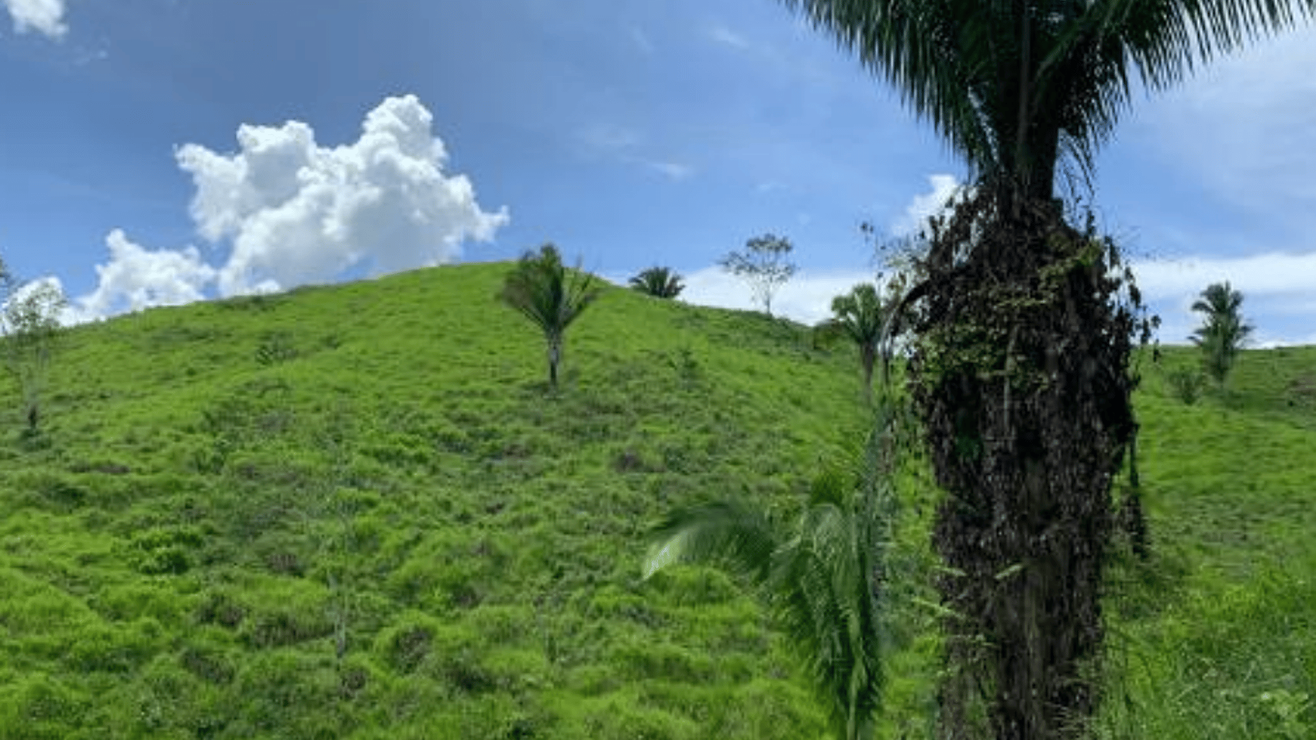 Finca en VENTA en Municipio Nuevo Chahal, Alta Verapaz - Miniatura 3