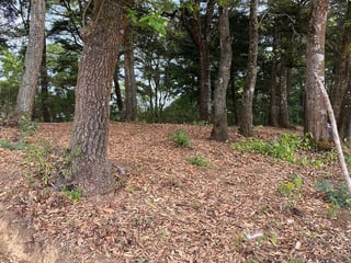 Terreno en Venta en Santa Lucía Milpas Altas, Sacatepéquez - 4