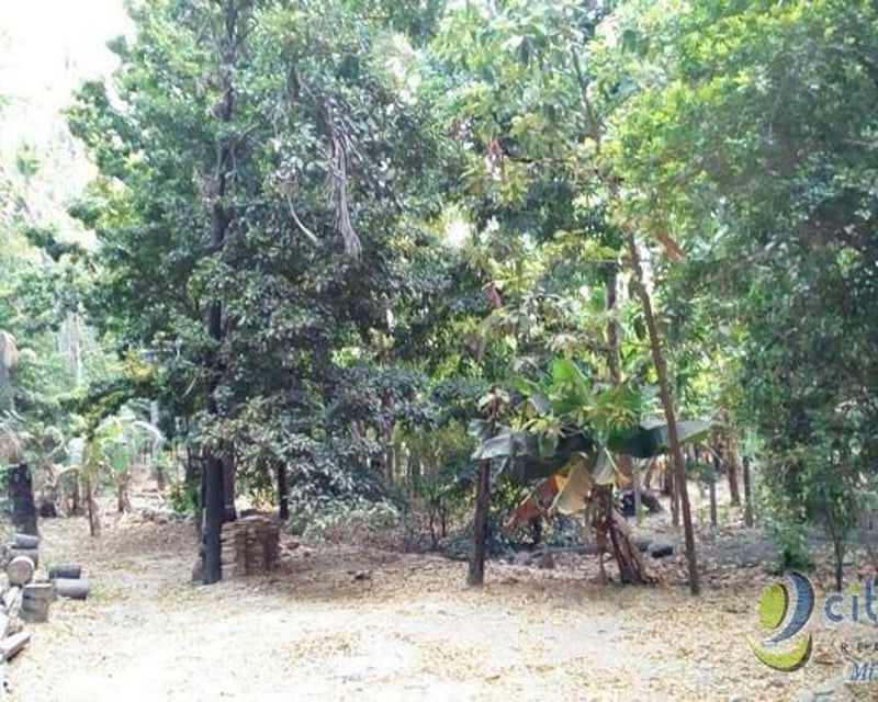 TERRENO EN VENTA EN SAN AGUSTIN ACASAGUASTLAN