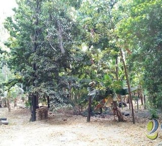TERRENO EN VENTA EN SAN AGUSTIN ACASAGUASTLAN