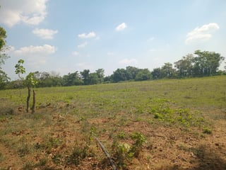 Venta de 7 manzanas de terreno en Masagua, Escuintla | Completamente planos - 3