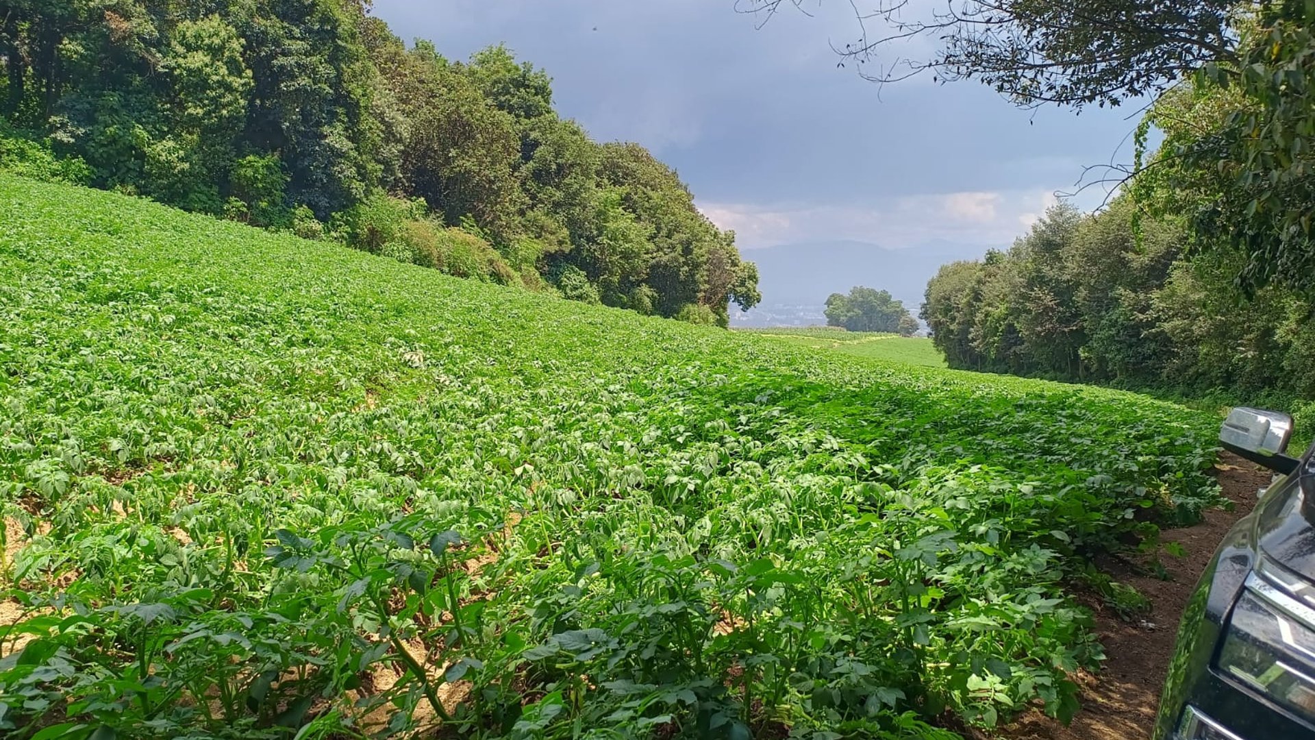 Terreno en venta, en Quetzaltenango