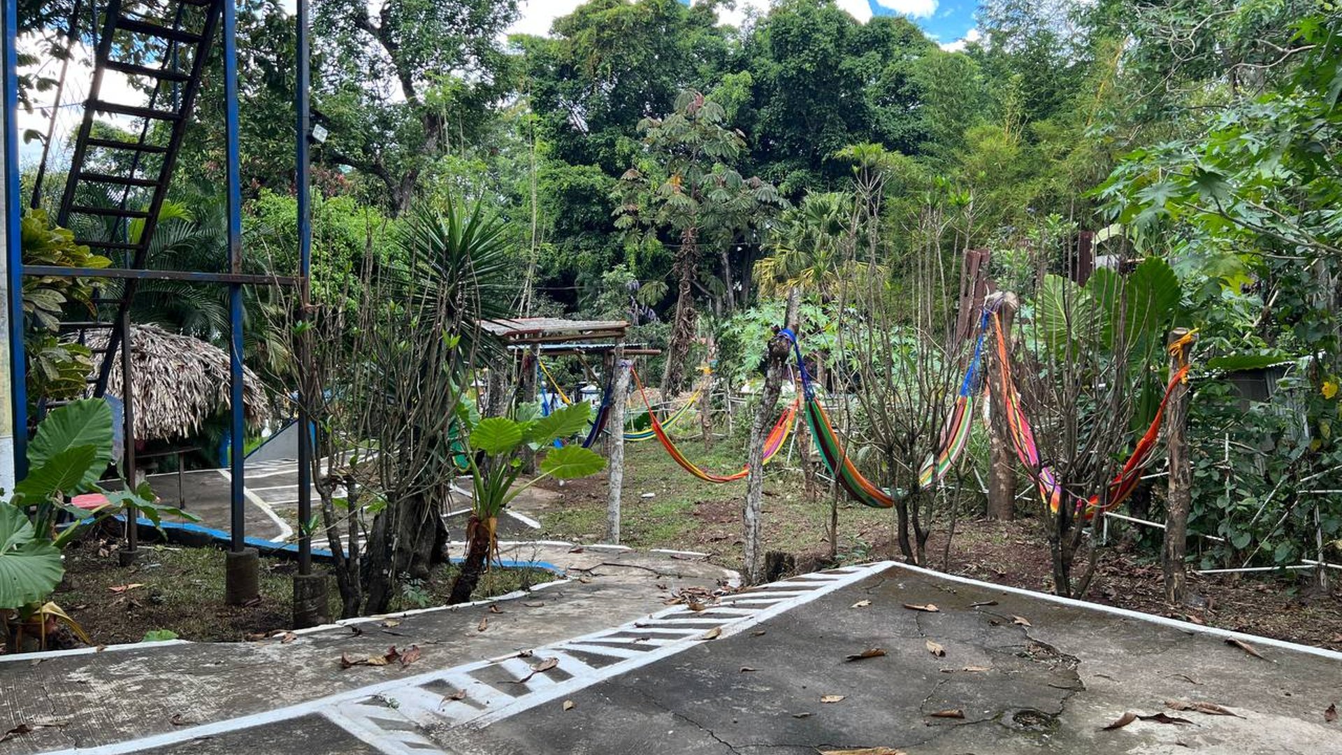 Terreno en Venta en el Km 50.2 en Barberena, Santa Rosa - Miniatura 8