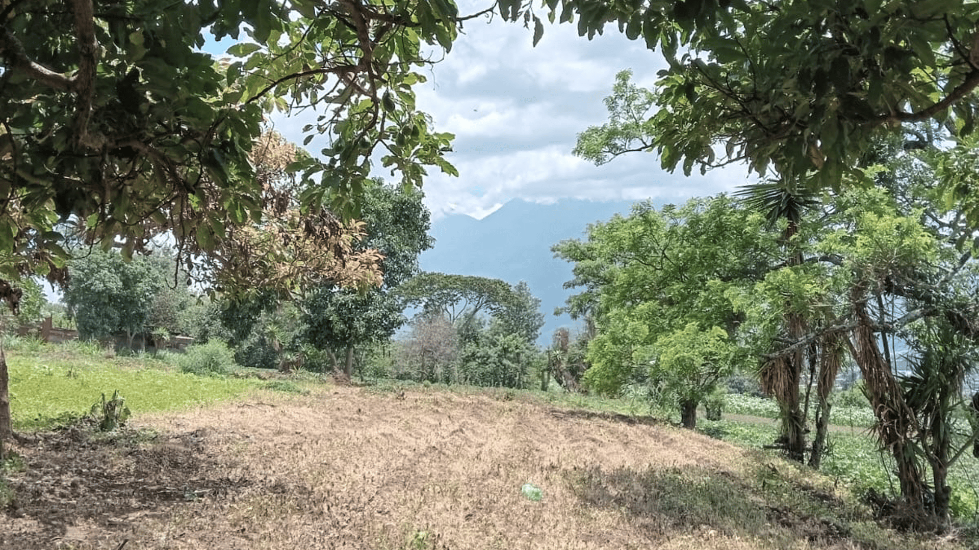 Terreno en venta, Ciudad Vieja - Image 1