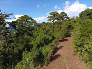 Terreno en VENTA en zona 16 - Image 5