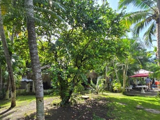 5-Bedroom House with Pergola, Parking, and Pool in Lindamar, Puerto San José - $212,000 - Image 11