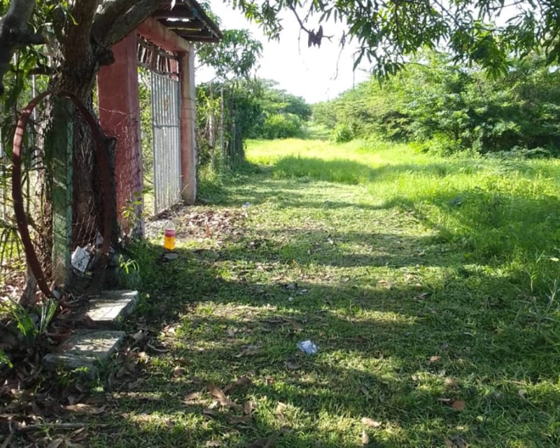 Terreno-condominio económico venta  Taxisco Santa Rosa