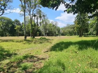Terreno plano de 8 manzanas -  sobre Santa Elena Barillas Ref-5949 - 3