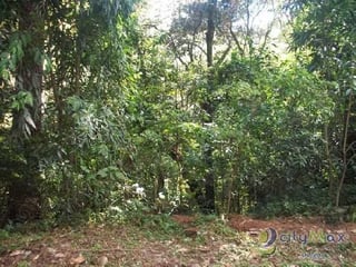 Venta de terreno en residencial cerca a San Lucas Sac. - 3