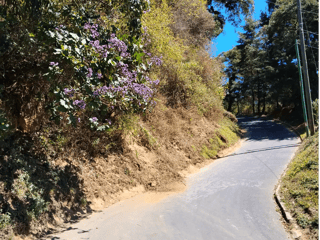 Terreno en Venta en San Mateo Milpas Altas, Sacatepequez - 5