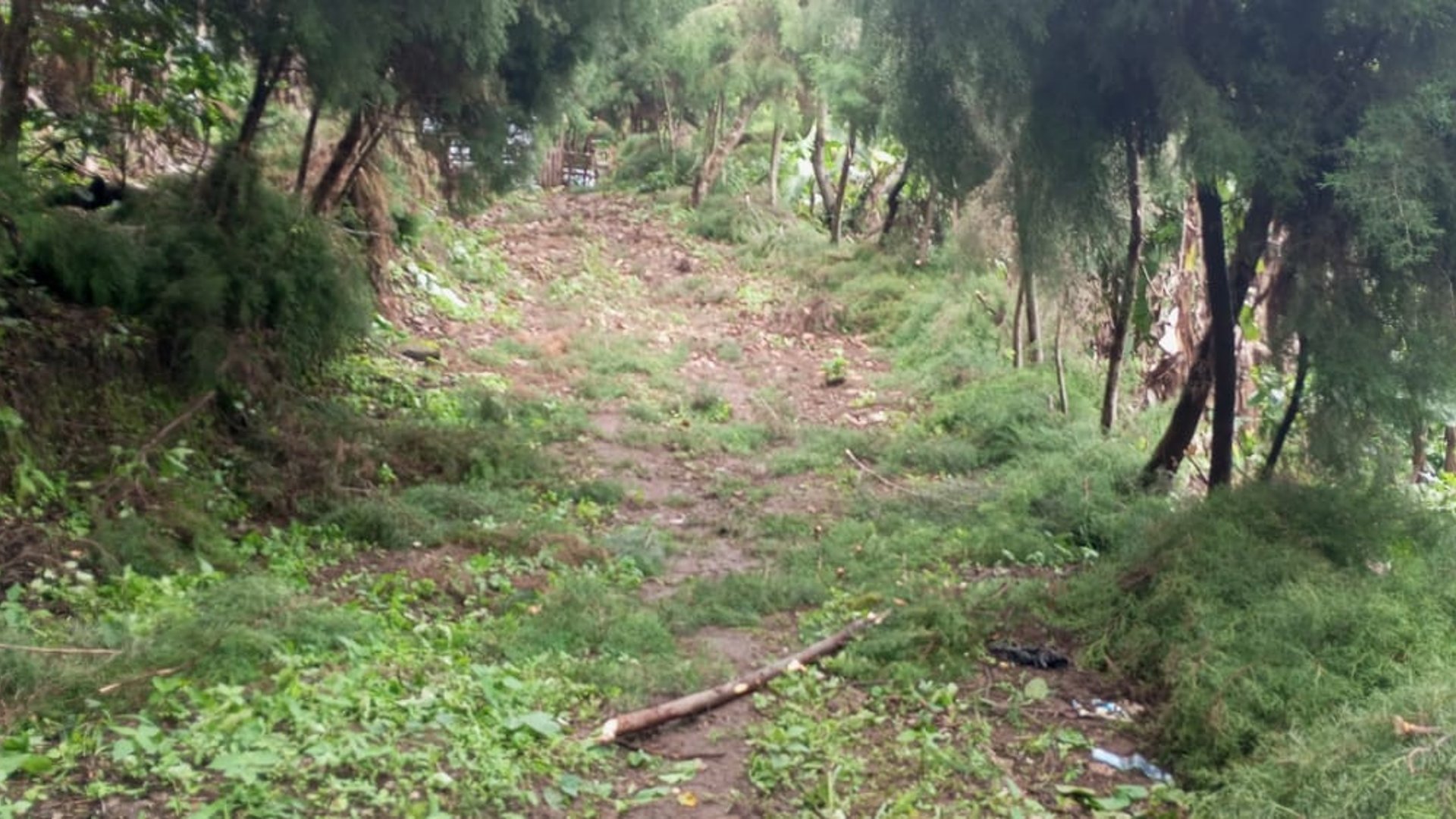 Terreno en venta para desarrollo comercial en Amatitlán