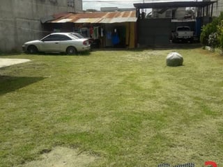 Terreno en Renta, Zona 24 (R9996) - 3