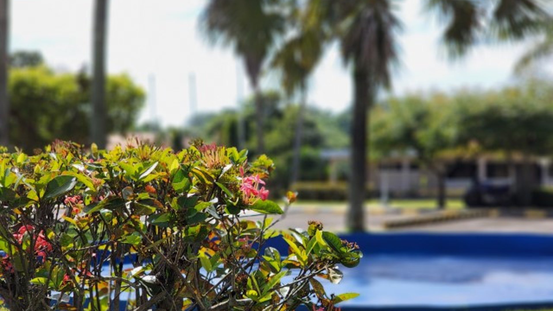 Terreno en Venta Lagunas de Torremolinos Escuintla