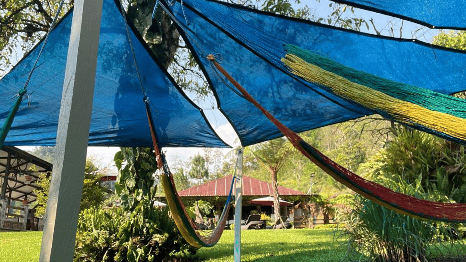 Finca comercial 26 manzanas en Venta en la Verapaces  - Miniatura 8