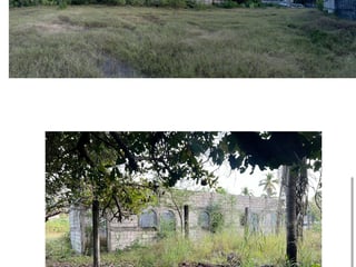 MONTERRICO / Terreno para desarrollo comercial - 3