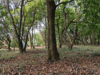 En Venta Terreno en Casa   Campo Guatemala - 4