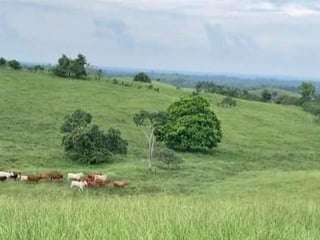 Finca en Venta en el Chal Petén - 4