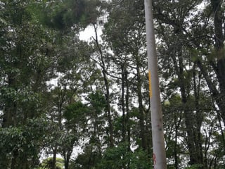 Terreno en Venta en San Lucas Sacatepequez - 1930 m2 - Image 5