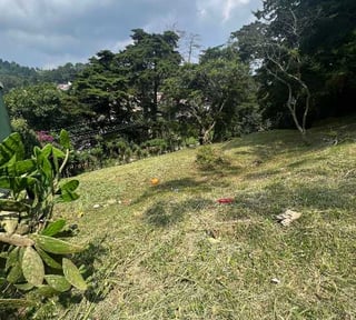 Vendo Terreno dentro de garita km 12.7 Carretera a El Salvador
