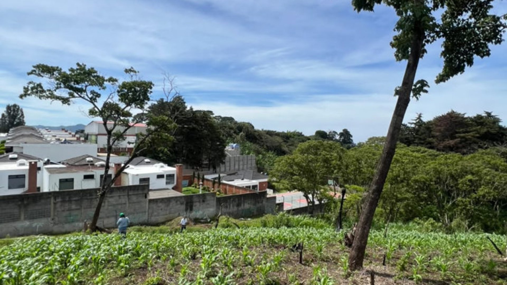 Terreno 12 Manzanas en Venta Carretera a El Salvador - Miniatura 17