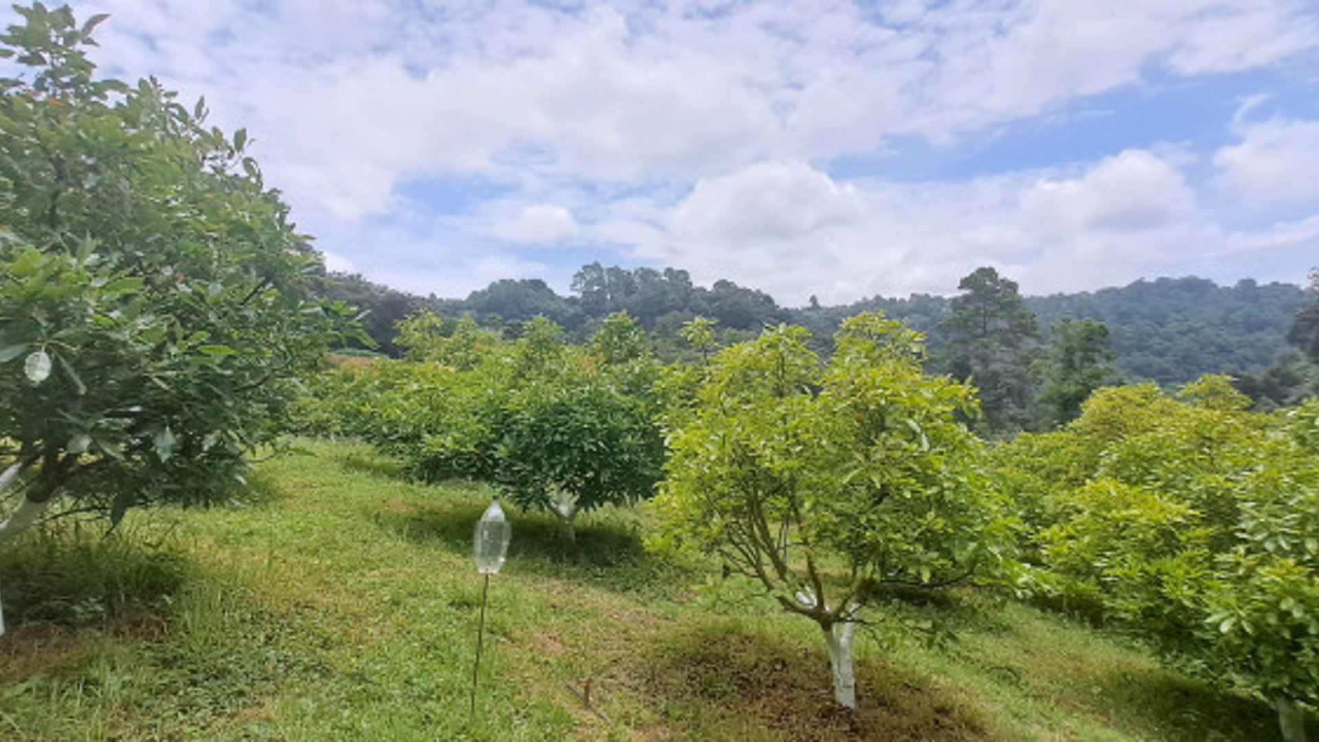 Terreno 1 manzana en venta en Santiago Sacatepequez