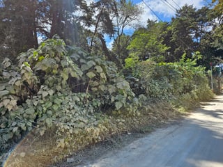 Terreno en Venta  en Santa Amelía Santiago Sacatepequez - 5