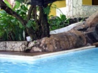 Terreno en Venta Reserva Cataratas de Uxmel, Turicentro - 5