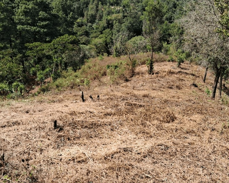 Terreno en Venta en KM 20.5 Aldea a Lo Diéguez, Fraijanes