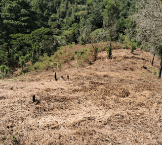 Terreno en Venta en KM 20.5 Aldea a Lo Diéguez, Fraijanes