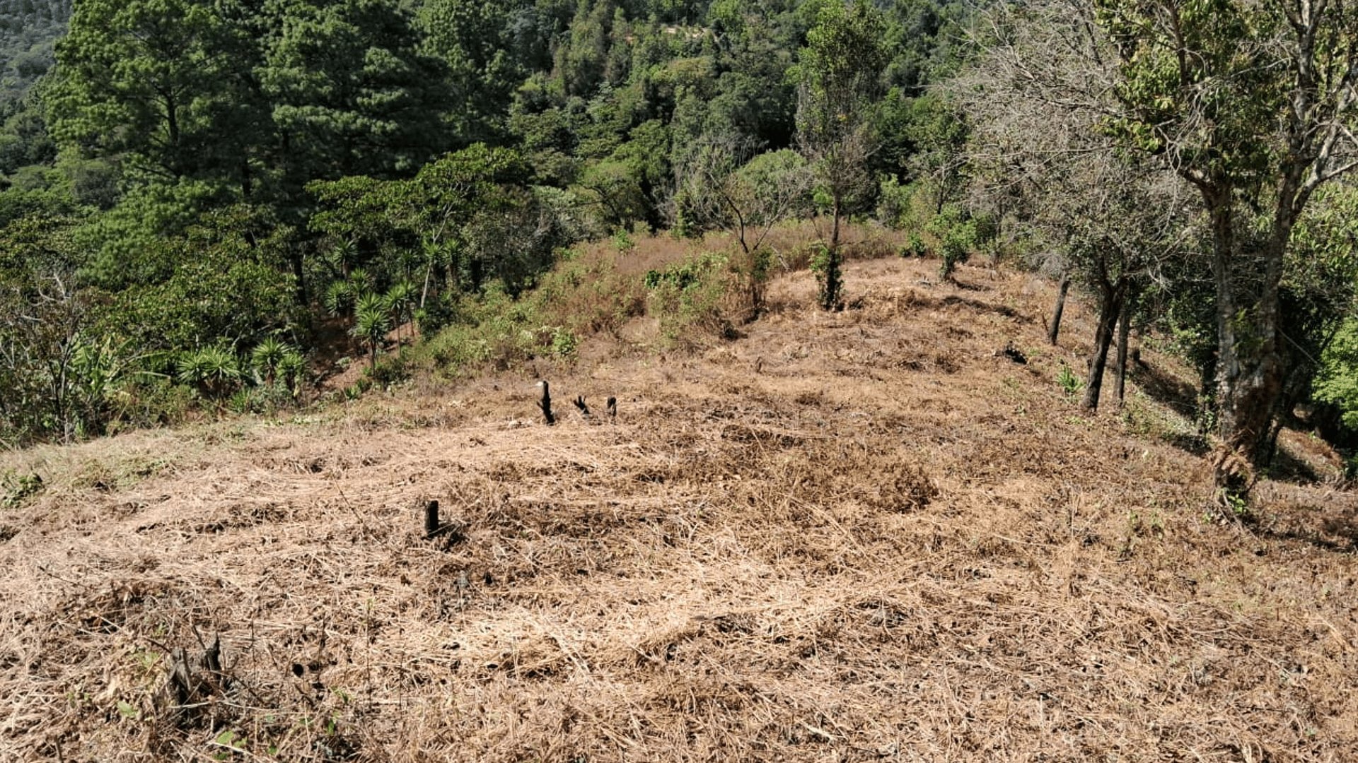 Terreno en Venta en KM 20.5 Aldea a Lo Diéguez, Fraijanes