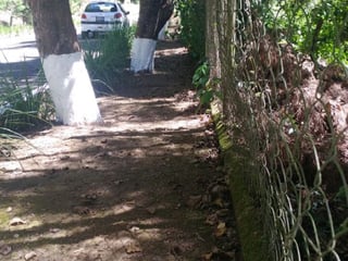 Vendo Terreno Carretera a El Salvador km 20.5 SAN GERMAN DE LA MONTANA - 2