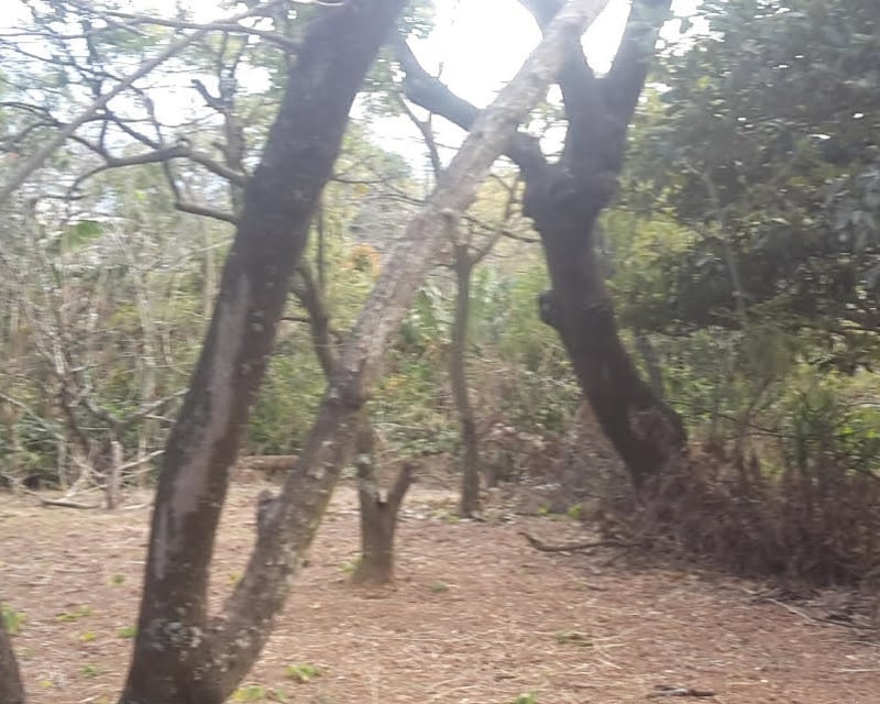 Terreno en venta, Amatitlán 