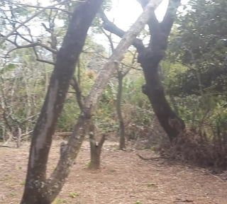Terreno en venta, Amatitlán 