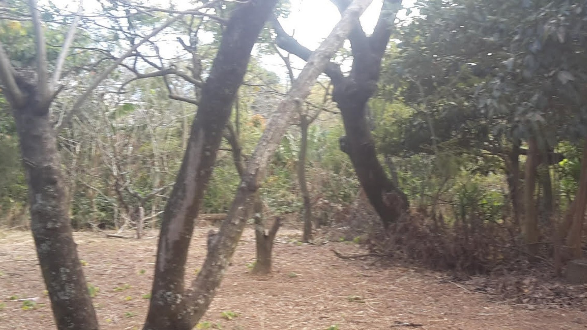 Terreno en venta, Amatitlán 