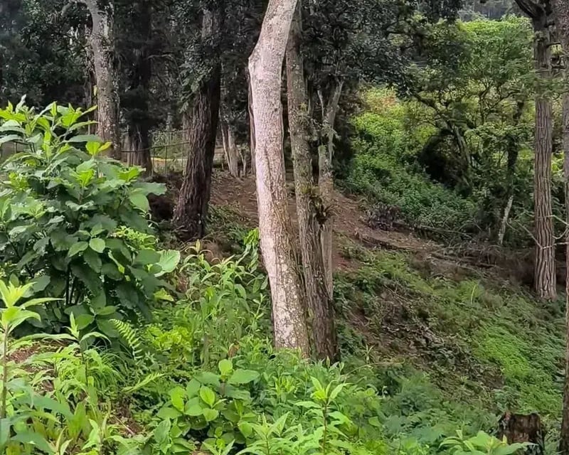 SANTA ROSALÍA / Terrenos en venta km 12.5 santa Rosalía
