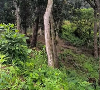 SANTA ROSALÍA / Terrenos en venta km 12.5 santa Rosalía