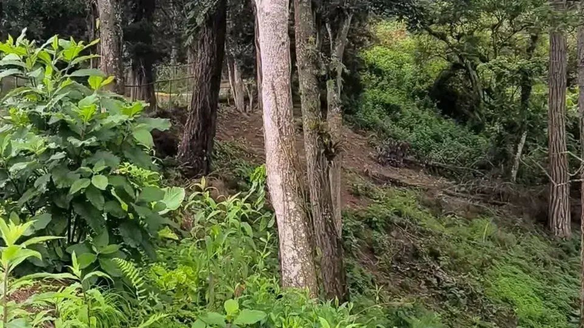 SANTA ROSALÍA / Terrenos en venta km 12.5 santa Rosalía