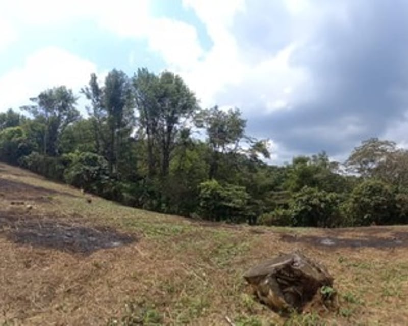 Terreno en Venta – Km 30.2 Carretera a Fraijanes